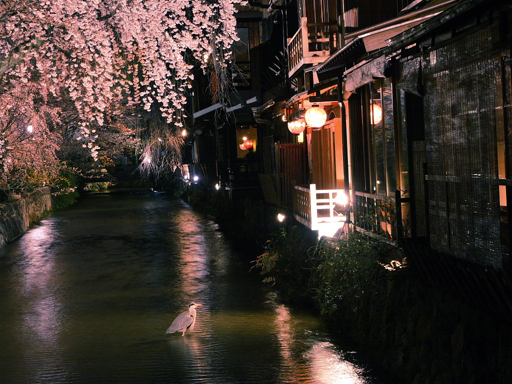 gion