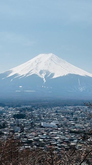 Fuji7