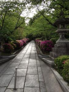 kiyomizu3-3.jpg